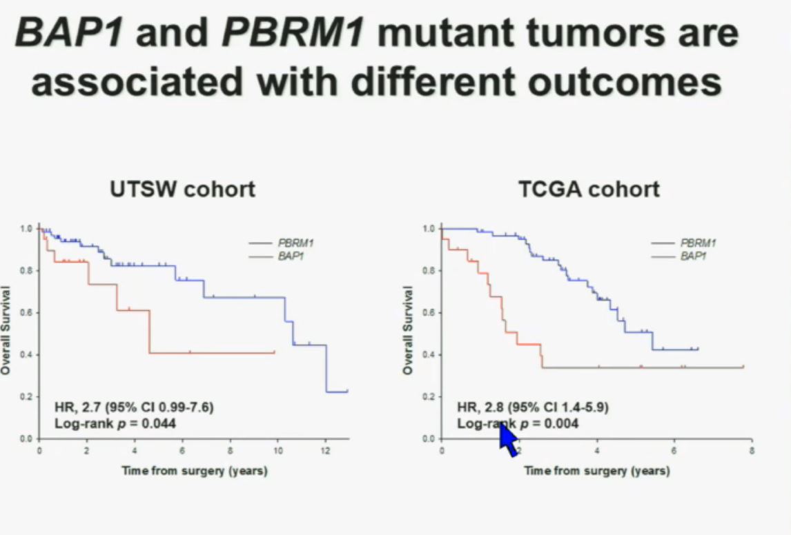 BRUG 12 BAP1 & PBRM1 diff outcomes